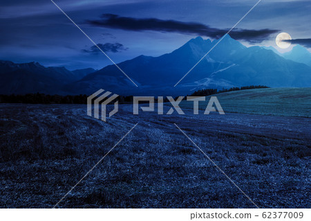 rural landscape of slovakia in summer rural landscape of slovakia in summer 62377009