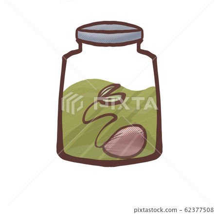 Formalin specimen in the science room Plant 1 Formalin specimen in the science room Plant 1 62377508