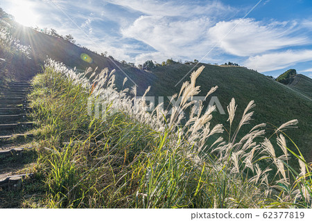 在秋天散步 62377819