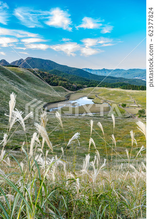 Take a walk in the autumn Take a walk in the autumn 62377824