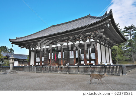 [Deer and Kofukuji (Toganedo)] Noborioji-cho, Nara City, Nara Prefecture 62378581