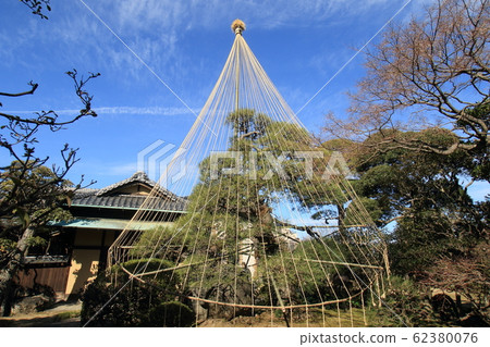 Snow hanging Snow hanging 62380076