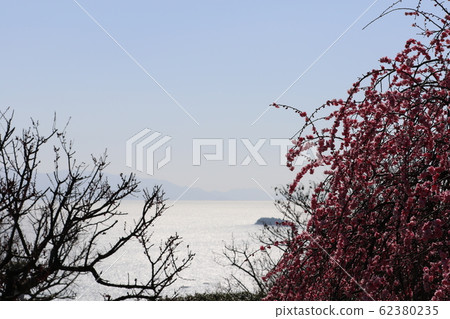 Ume Park in the world Ume Park in the world 62380235