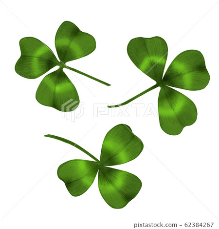 Illustration of trefoil leaves Illustration of trefoil leaves 62384267