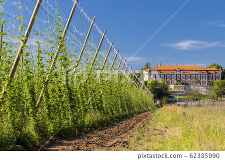 Rococo castle Steknik with hop field, Czech 62385990