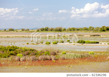 National park Camargue, Provence, France National park Camargue, Provence, France 62386296