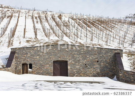 Wiine cellar near Vinicky, Tokaj region, Slovakia 62386337