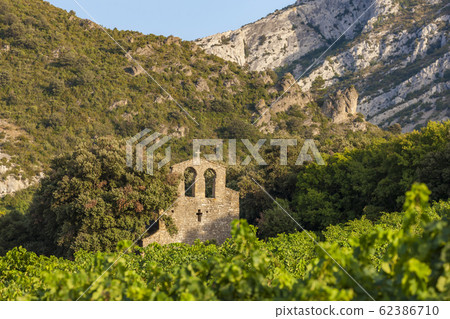 vineyards in the wine region Languedoc-Roussillon, vineyards in the wine region Languedoc-Roussillon, 62386710