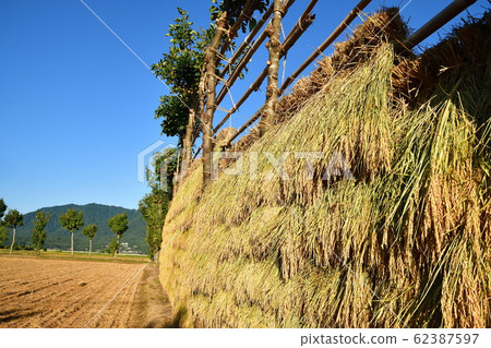 Hashikake image (Niigata Prefecture) 62387597