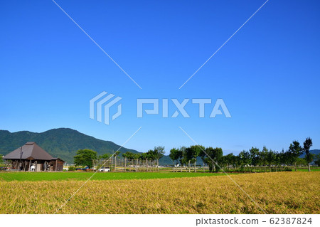 Autumn countryside scenery (Niigata Prefecture) Autumn countryside scenery (Niigata Prefecture) 62387824