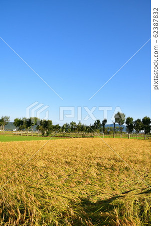 Autumn countryside scenery (Niigata Prefecture) 62387832