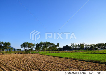 Autumn countryside scenery (Niigata Prefecture) 62387840