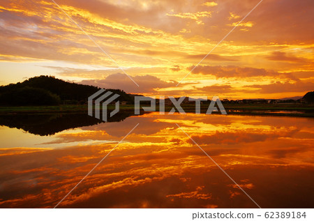 稻田裡映出的傍晚天空 62389184