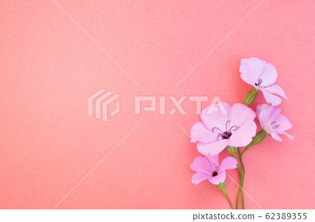 Summer blossoming pink flowers festive background, pastel and soft bouquet floral card, selective focus, toned	 62389355