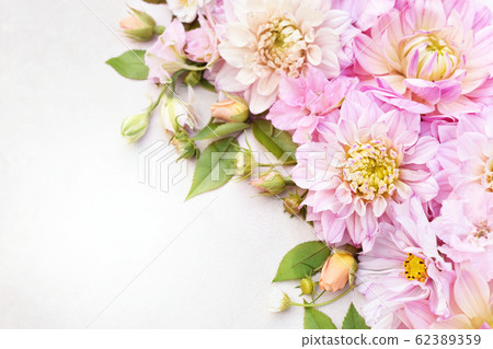 Pink delicate blossoming dahlias, summer blooming flowers festive background, pastel and soft bouquet floral card, selective focus, toned Pink delicate blossoming dahlias, summer blooming flowers festive background, pastel and soft bouquet floral card, selective focus, toned 62389359