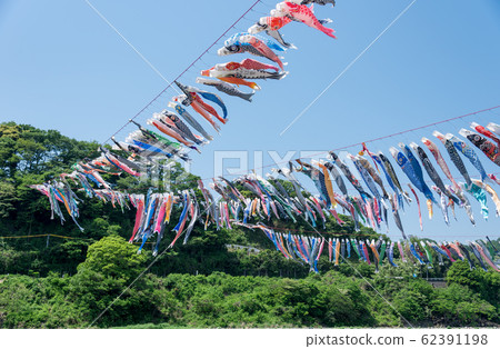 [Swimming carp streamer Sagami River] 62391198