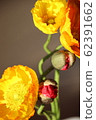 Poppy 62391662