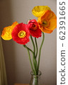 Poppy 62391665
