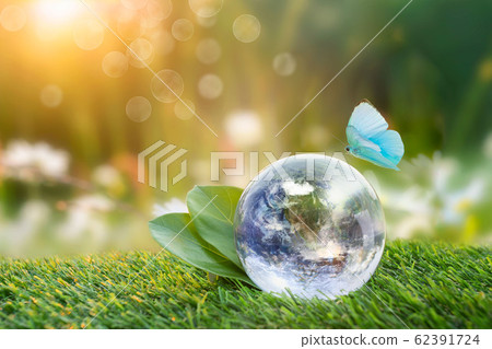 Environment conservation concept. Environment conservation concept. 62391724