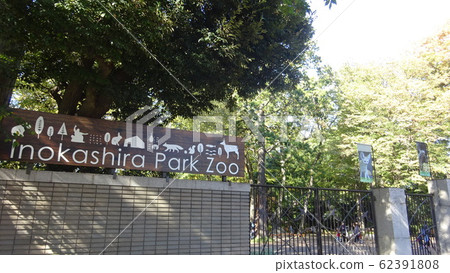東京武藏野市井之頭自然文化公園五山山 東京武藏野市井之頭自然文化公園五山山 62391808