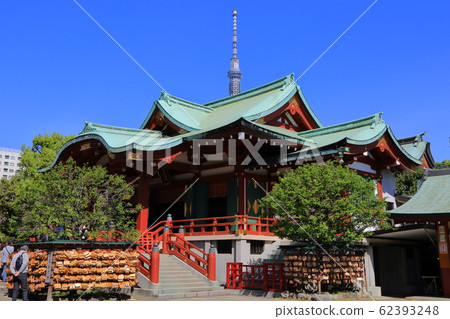 Kameido Tenjin and Sky Tree 62393248