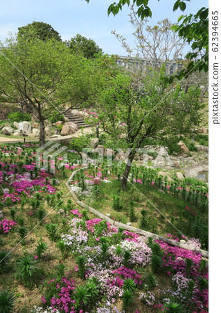 Awaji Island National Akashi Kaikyo Park 62394665