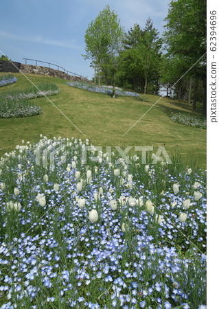 淡路島國立明石海峽公園 淡路島國立明石海峽公園 62394696