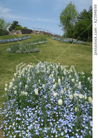 淡路島國立明石海峽公園 淡路島國立明石海峽公園 62394699
