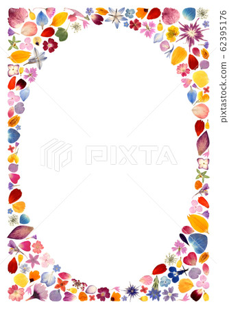 Colorful petals and pressed flower frame 62395176