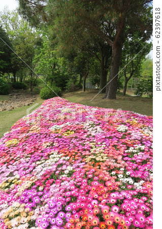 淡路島國立明石海峽公園 淡路島國立明石海峽公園 62397618