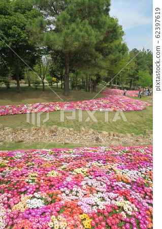 淡路島國立明石海峽公園 淡路島國立明石海峽公園 62397619