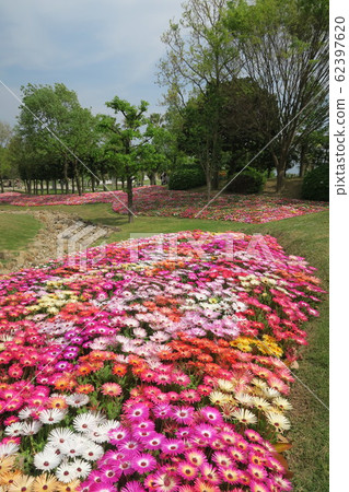 淡路島國立明石海峽公園 62397620