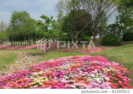 淡路島國立明石海峽公園 62397621