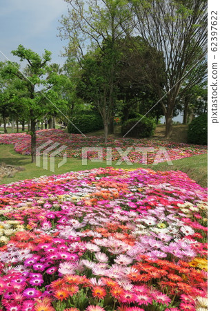 淡路島國立明石海峽公園 淡路島國立明石海峽公園 62397622