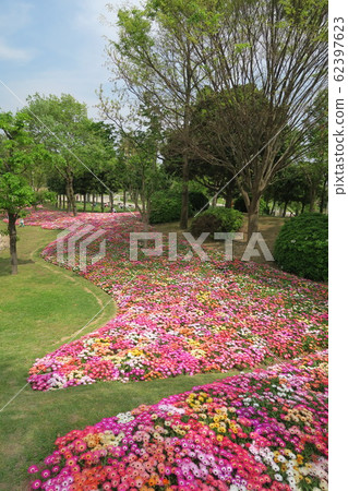 淡路島國立明石海峽公園 淡路島國立明石海峽公園 62397623