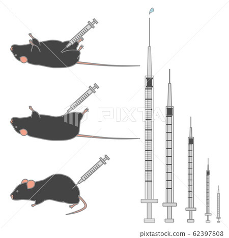 Vector illustration set of syringes of different sizes & black mice being injected Vector illustration set of syringes of different sizes & black mice being injected 62397808
