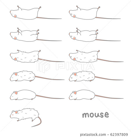 Unwell mouse vector illustration set Unwell mouse vector illustration set 62397809