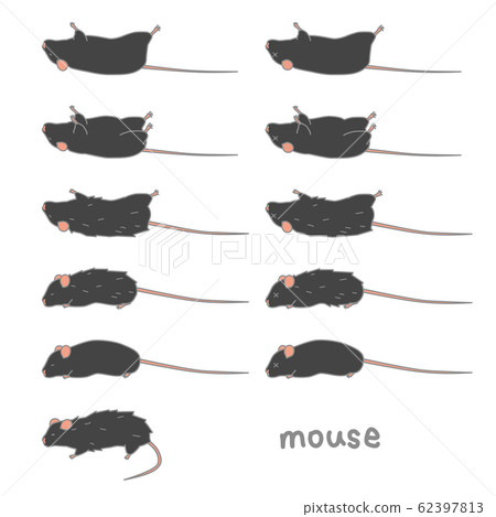 Unwell mouse vector illustration set 62397813