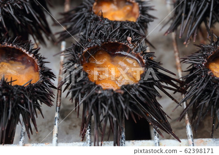 烤海膽 烤海膽 62398171