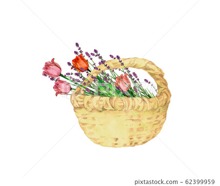 鬱金香和薰衣草花籃 鬱金香和薰衣草花籃 62399959