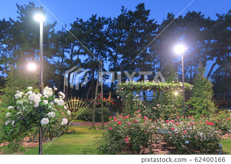 哈馬德拉公園玫瑰花園-城市景觀- 哈馬德拉公園玫瑰花園-城市景觀- 62400166