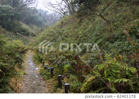 Wetlands (winter) 62401178