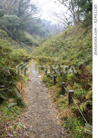 Wetlands (winter) 62401180