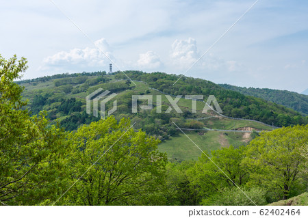 栃木縣鹿沼市,Mae Nikko Ranch Yokone高原(5月) 栃木縣鹿沼市,Mae Nikko Ranch Yokone高原(5月) 62402464