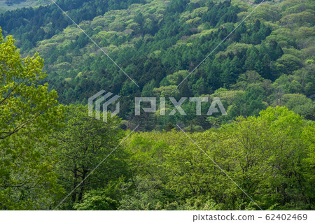 栃木縣鹿沼市,Mae Nikko Ranch Yokone高原(5月) 栃木縣鹿沼市,Mae Nikko Ranch Yokone高原(5月) 62402469
