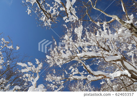  Foggy ice 62403357