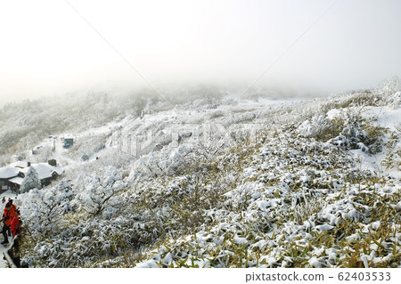 古代,雪花,冬天 古代,雪花,冬天 62403533