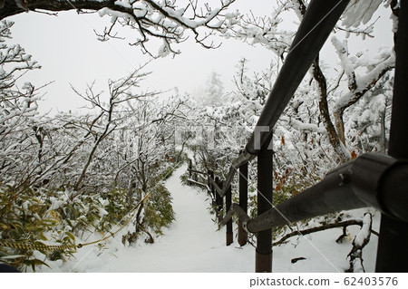 Ancient times, snowflake, winter 62403576