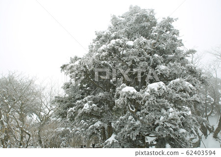 Ancient times, snowflake, winter 62403594