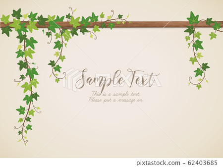 Ivy leaf antique background frame with ivy hanging Ivy leaf antique background frame with ivy hanging 62403685
